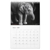 Calendrier Deux tons rose minimaliste (Mar 2027)