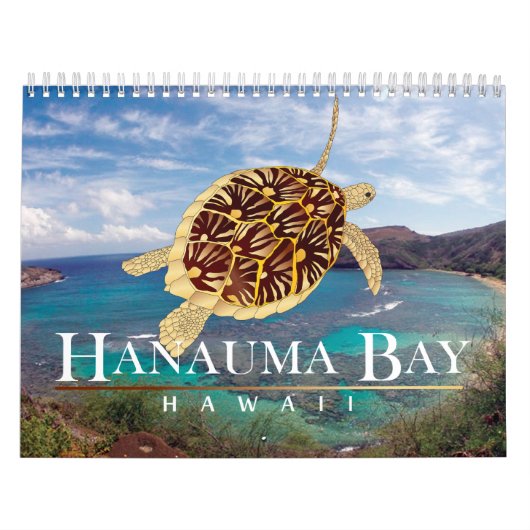 Calendrier d'Hawaï (Protection)