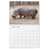 Calendrier d'hippopotame, hippopotame (Jan 2026)