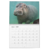 Calendrier d'hippopotame, hippopotame (Mar 2027)