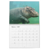 Calendrier d'hippopotame, hippopotame (Feb 2027)