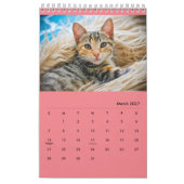 Calendrier Diamondmarine's Fosters ! (Mar 2027)