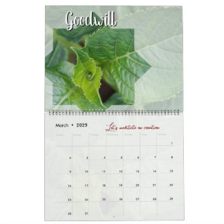 Calendrier Dieu méditation jardin : étoile & mot