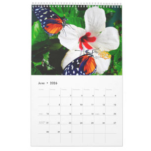 Calendrier Différentes photos de papillons avec fleurs
