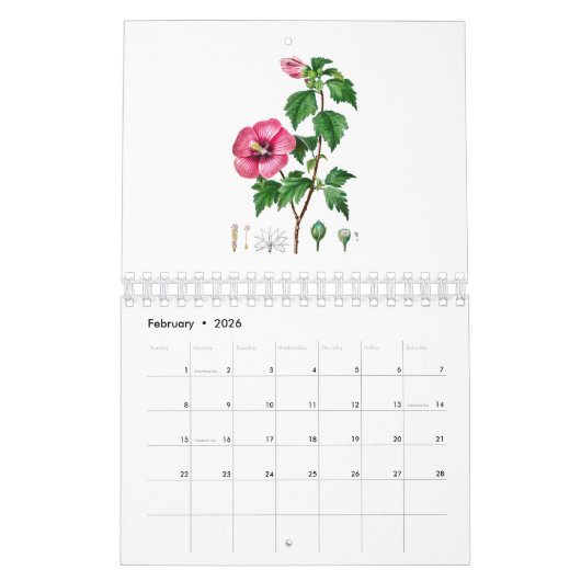CALENDRIER D'ILLUSTRATION DE FLEURS REDOUTÉ (Feb 2026)