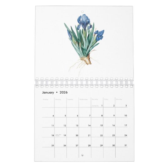 CALENDRIER D'ILLUSTRATION DE FLEURS REDOUTÉ (Jan 2026)