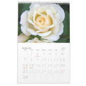 Calendrier d'impression grand format 2016 Rose une (Feb 2027)