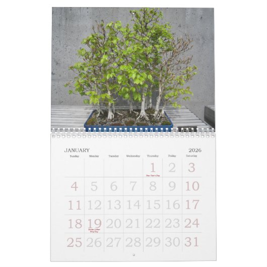 Calendrier d'impression grand format 2023 - Bonsai (Jan 2026)