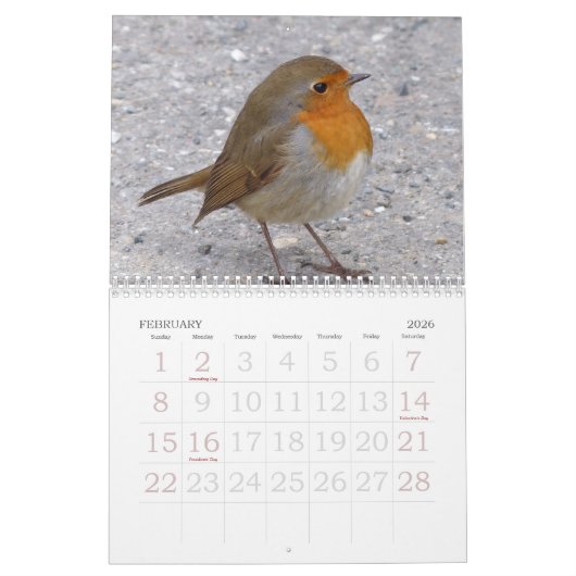 Calendrier d'impression grand format 2023 - Oiseau (Feb 2026)