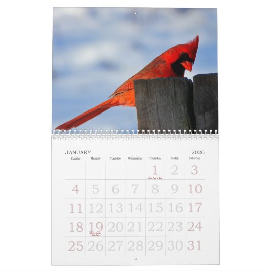 Calendrier d'impression grand format 2023 - Oiseau (Jan 2026)