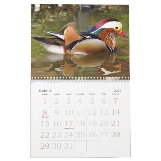 Calendrier d'impression grand format 2023 - Oiseau (Mar 2026)