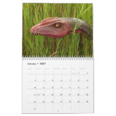 Calendrier Dinosaures préhistoriques 2026 (Jan 2027)