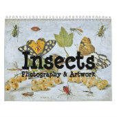 Calendrier d'insectes (Protection)