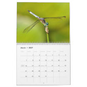 Calendrier d'insectes (Mar 2027)