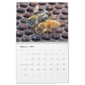Calendrier d'insectes (Feb 2027)