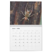 Calendrier d'inspirations d'insecte (Mar 2026)