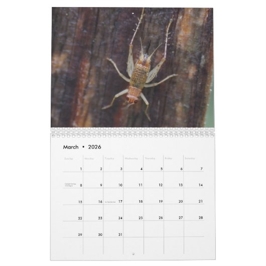 Calendrier d'inspirations d'insecte (Mar 2026)