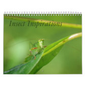 Calendrier d'inspirations d'insecte (Protection)