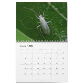 Calendrier d'inspirations d'insecte (Jan 2026)