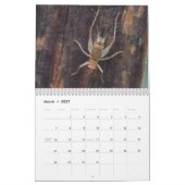 Calendrier d'inspirations d'insecte (Mar 2027)
