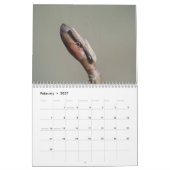 Calendrier d'inspirations d'insecte (Feb 2027)