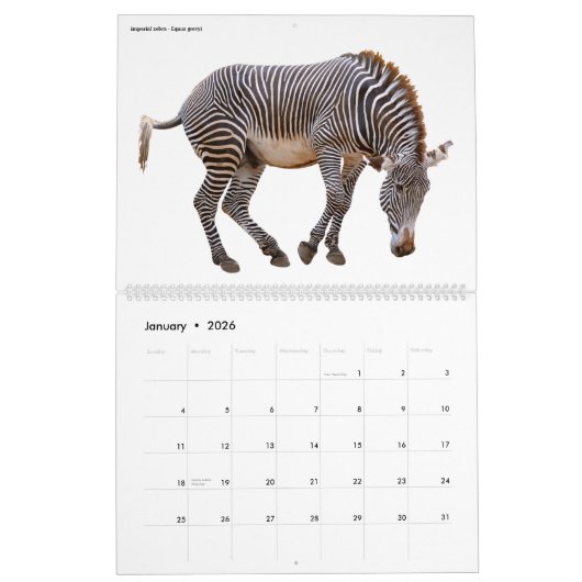 Calendrier Divers animaux isolés 2023 (Jan 2026)