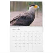 Calendrier Divers oiseaux de proie (Mar 2026)