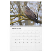 Calendrier Divers oiseaux de proie (Feb 2026)