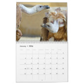 Calendrier Divers oiseaux de proie (Jan 2026)