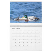 Calendrier Divers oiseaux et canards (Mar 2027)