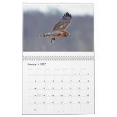 Calendrier Divers oiseaux et canards (Jan 2027)