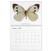 Calendrier Divers papillons 2023 (Feb 2026)