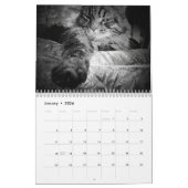 Calendrier DJ's Artisticats par djoneill (Jan 2026)