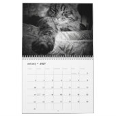 Calendrier DJ's Artisticats par djoneill (Jan 2027)