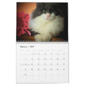 Calendrier DJ's Artisticats par djoneill (Feb 2027)