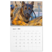 Calendrier “DO NOT PET” - US Military Working Dogs Calendar (Mar 2026)