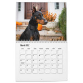 Calendrier Doberman Dog (Mar 2027)