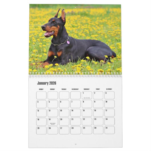 Calendrier Doberman Dog (Jan 2026)
