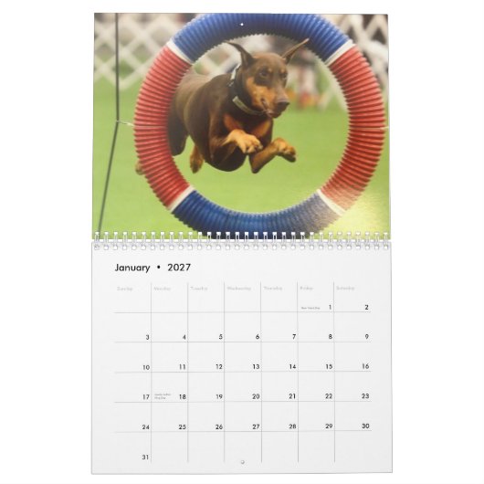 Calendrier Dobermann 2013 Calendrier-révisé nov. (Jan 2027)