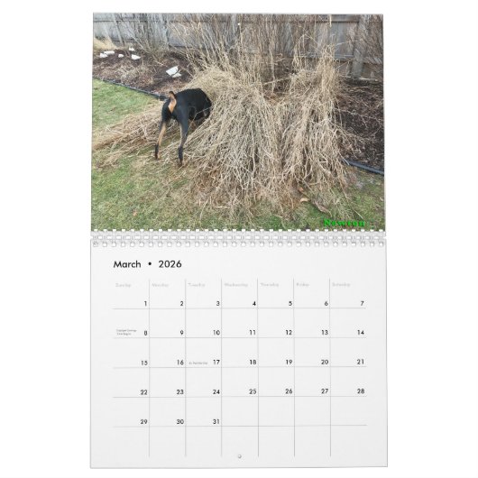 Calendrier Dobermantalk 2021 (Mar 2026)