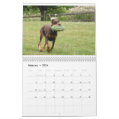 Calendrier Dobermantalk 2021 (Feb 2026)