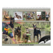 Calendrier Dobermantalk 2021 (Protection)