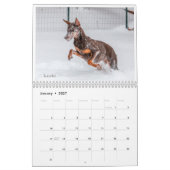 Calendrier Dobermantalk 2021 (Jan 2027)