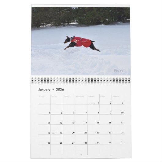 Calendrier Dobermantalk 2022 (Jan 2026)