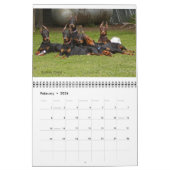 Calendrier Dobermantalk 2022 (Feb 2026)