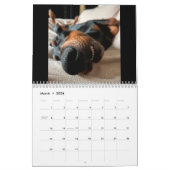 Calendrier Dobermantalk 2023 (Mar 2026)