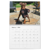 Calendrier Dobermantalk 2023 (Feb 2026)