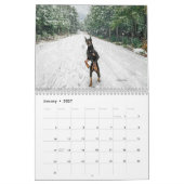 Calendrier Dobermantalk 2023 (Jan 2027)