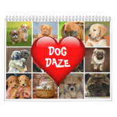 Calendrier Dog Daze monthly Canine Photos & quotes (Protection)