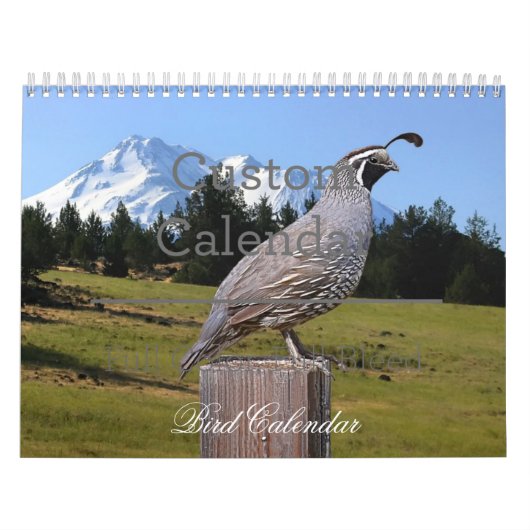 CALENDRIER D'OISEAU (Protection)